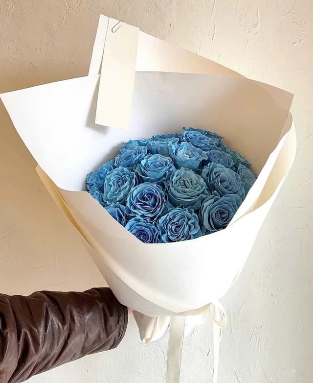 Blue Rose - Hồng Xanh Dương