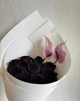 Black Rose - Hoa hồng đen