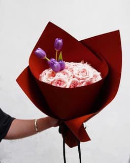 Ohara Rose - Hồng Ohara & Tulip tím