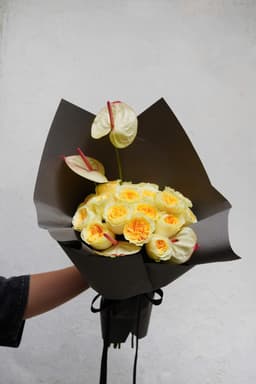 Victoria Rose - Hồng vàng Victoria