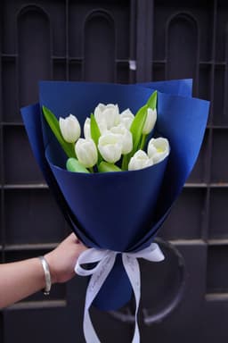 White Tulip - Tulip trắng