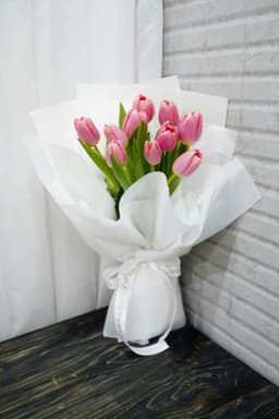 Pink Tulip - Tulip hồng