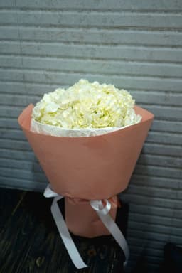 White Hydrangea - Cẩm tú cầu trắng